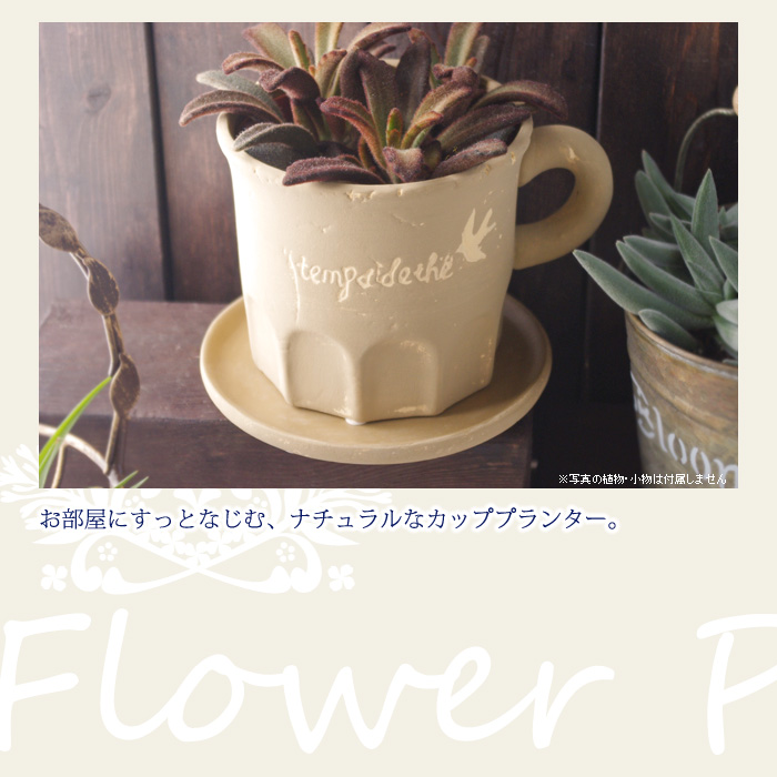 お部屋にすっとなじむ、ナチュラルなカッププランター。