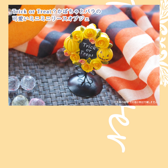 Trick or Treat? お花たちもハロウィンの仮装パーティーへ