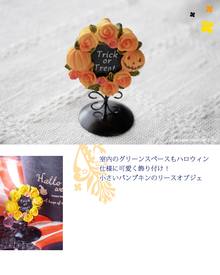 室内のグリーンスペースも、ハロウィン仕様に可愛く飾り付け!小さいパンプキンのリースオブジェ