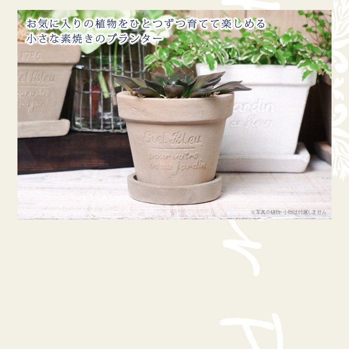 お気に入りの植物を一つずつ育てて楽しめる、小さな素焼きのプランター