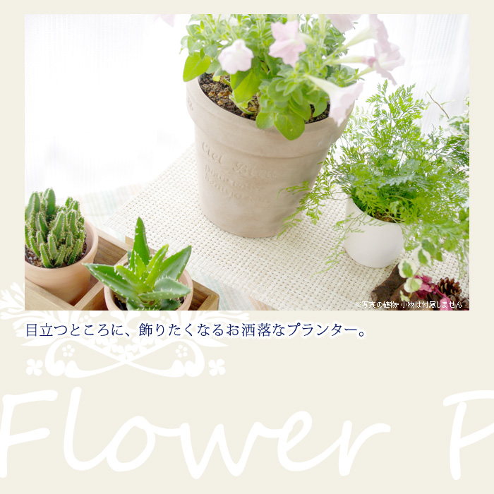 目立つところに、飾りたくなるお洒落なポット。