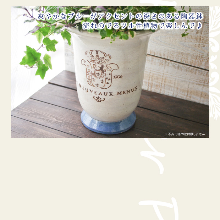 爽やかなブルーがアクセントの深さのある陶器鉢流れのでるツル性植物で楽しんで♪
