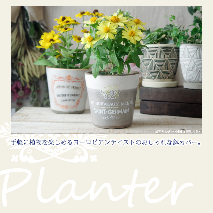 手軽に植物を楽しめるヨーロピアンテイストのおしゃれな鉢カバー