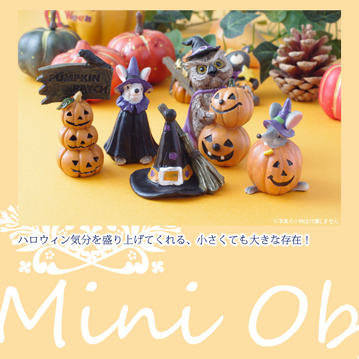 ハロウィン気分を盛り上げてくれる、小さくても大きな存在!