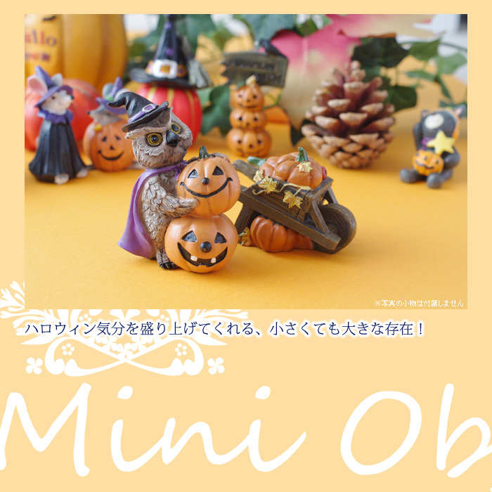 ハロウィン気分を盛り上げてくれる、小さくても大きな存在!