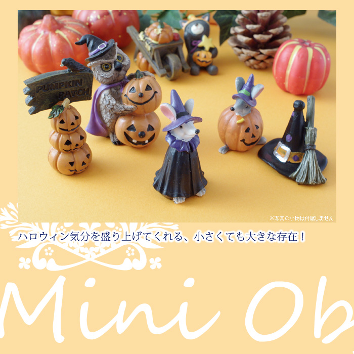 ハロウィン気分を盛り上げてくれる、小さくても大きな存在!