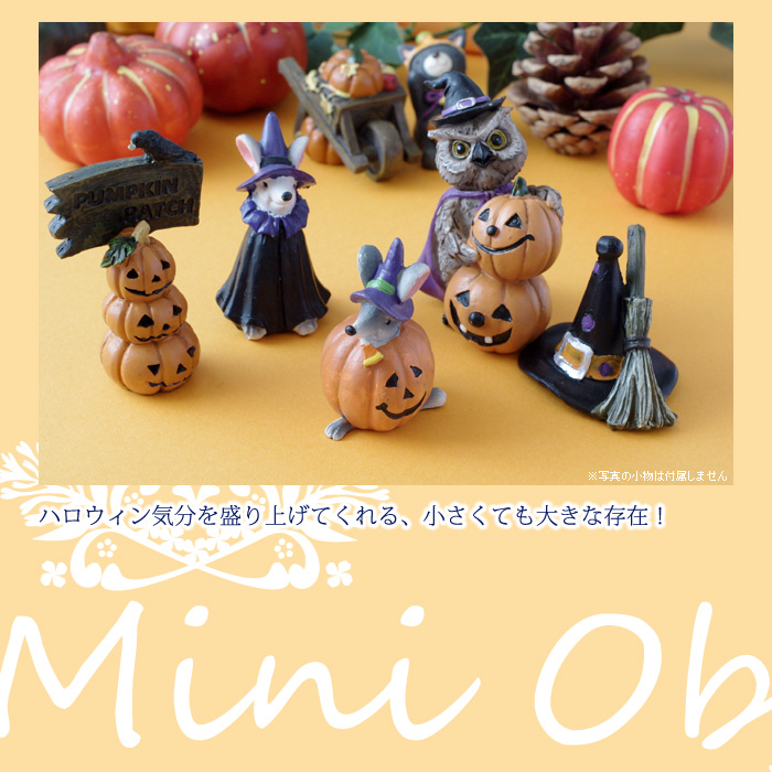 ハロウィン気分を盛り上げてくれる、小さくても大きな存在!