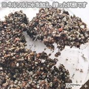 詳細画像4