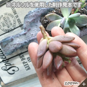詳細画像6