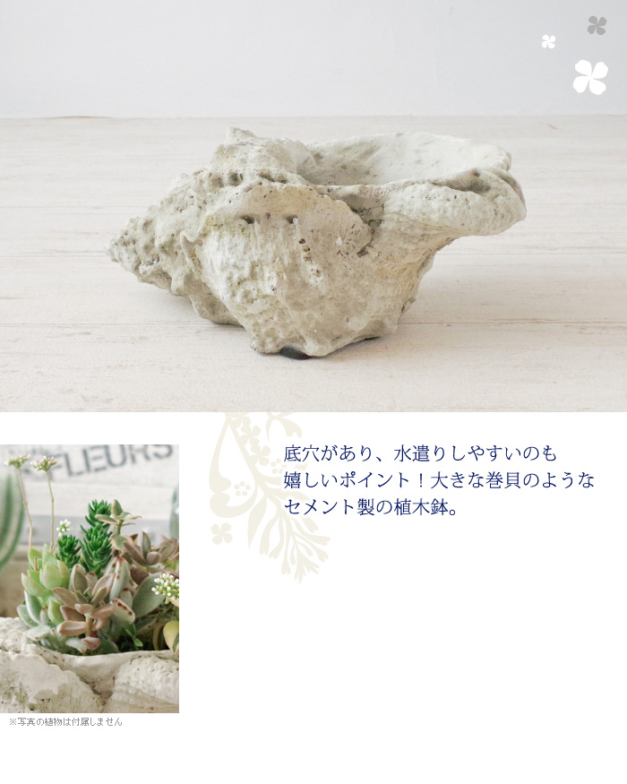 底穴があり、水遣りしやすいのも嬉しいポイント!大きな巻貝のようなセメント製の植木鉢