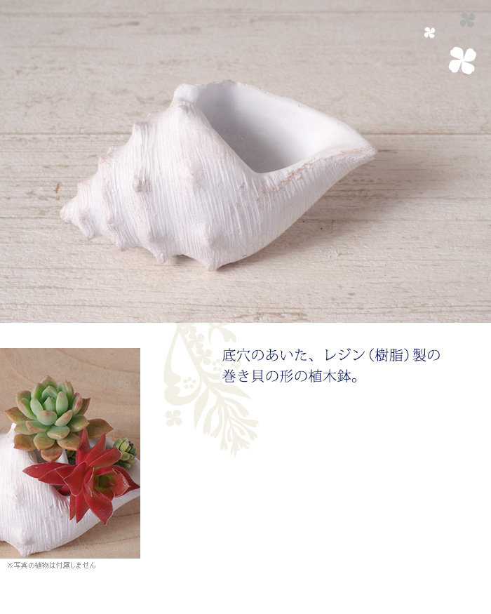 底穴の開いた、レジン(樹脂)製の巻き貝の形の植木鉢。