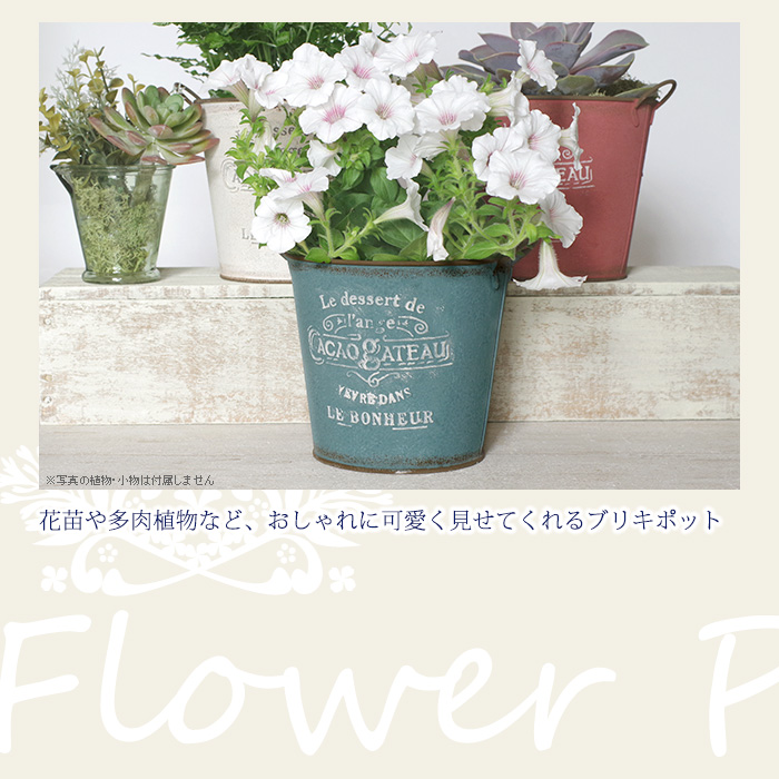 花苗や多肉植物など、おしゃれに可愛くみせてくれるブリキポット